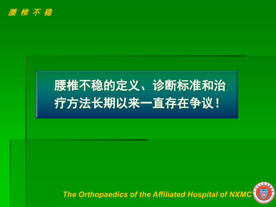 腰椎不稳.ppt.ppt_第2页