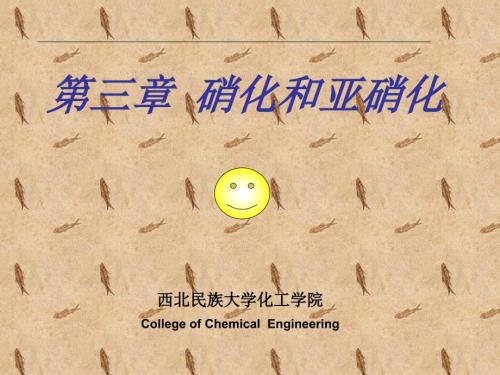 第三章硝化反应.ppt