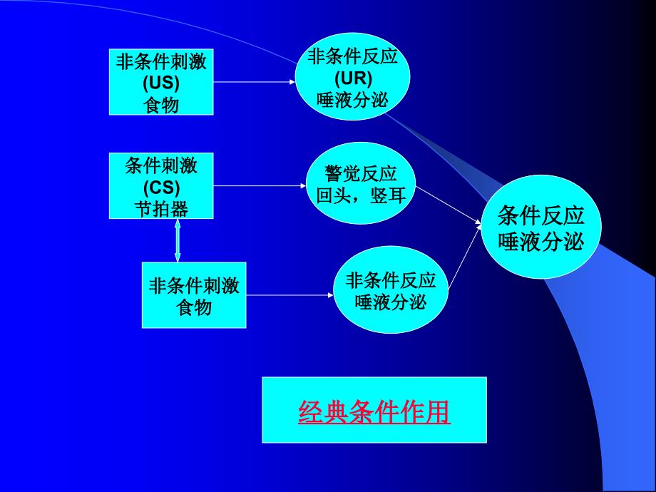 认知行为治疗PPT课件.ppt_第3页