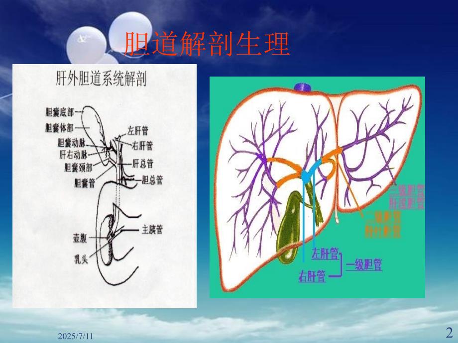 胆囊结石伴胆囊炎PPT课件.ppt_第2页