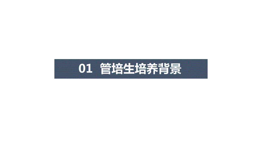 管培生培养计划ppt课件.pptx_第3页