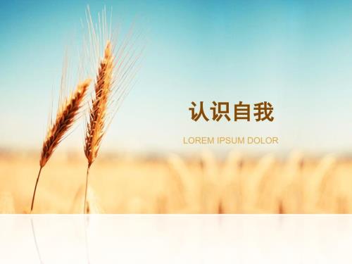 自我认知PPT课件.ppt