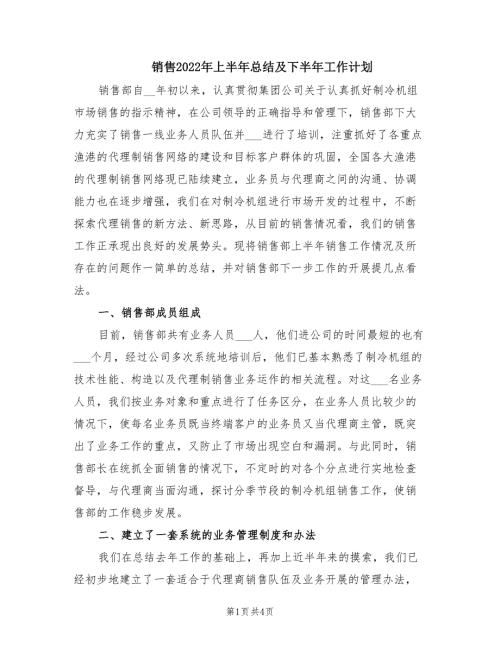 销售2022年上半年总结及下半年工作计划.doc