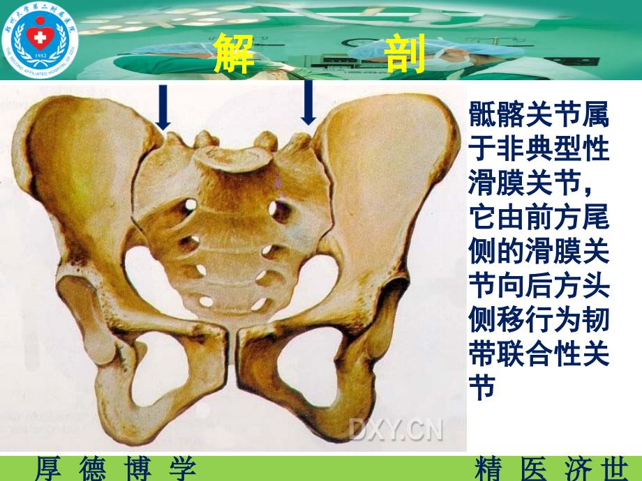 骶髂关节炎课件.ppt_第3页