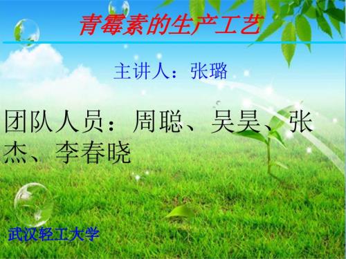 青霉素的生产工艺流程.ppt