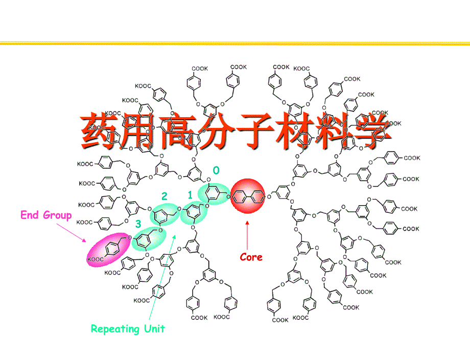 药用高分子材料学.ppt_第1页