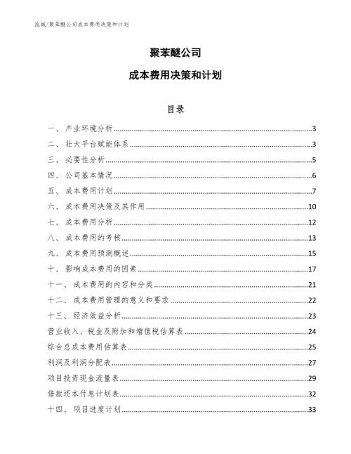 聚苯醚公司成本费用决策和计划范文.docx