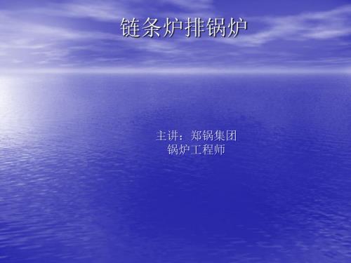 链条炉排锅炉知识.ppt