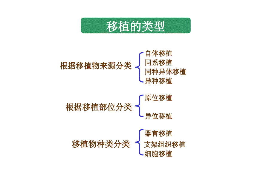 移植免疫及其免疫检测.ppt_第3页