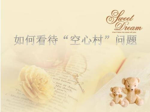 空心村问题PPT课件.ppt