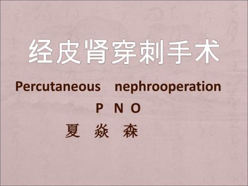 经皮肾穿刺手术PPT课件.ppt