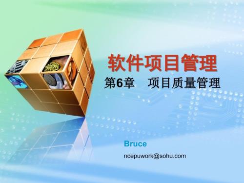 项目质量管理.ppt
