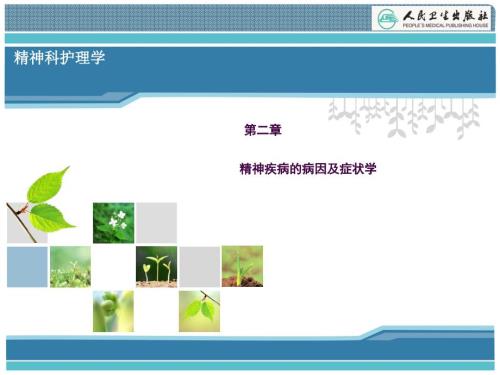 精神疾病的病因及症状学ppt课件.ppt