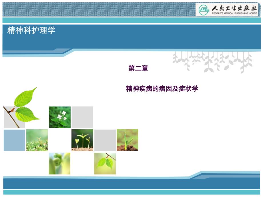 精神疾病的病因及症状学ppt课件.ppt_第1页