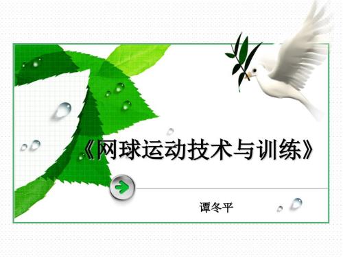 网球专项技术训练与指导说课稿.ppt