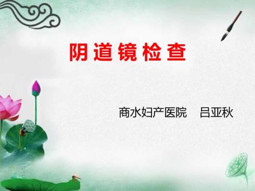 阴道镜检查PPT课件.ppt