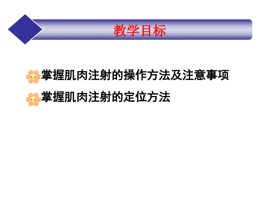 肌肉注射法教学课件.ppt_第2页