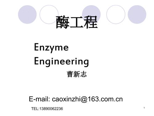 酶工程第一章绪论PPT课件.ppt