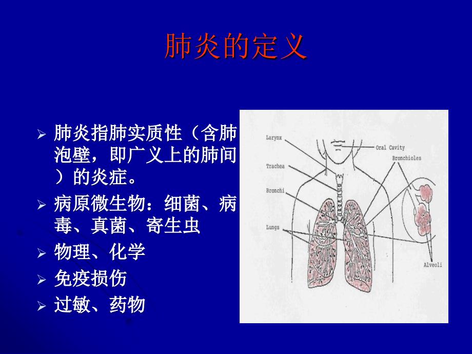社区获得性肺炎的PPT课件.ppt_第2页