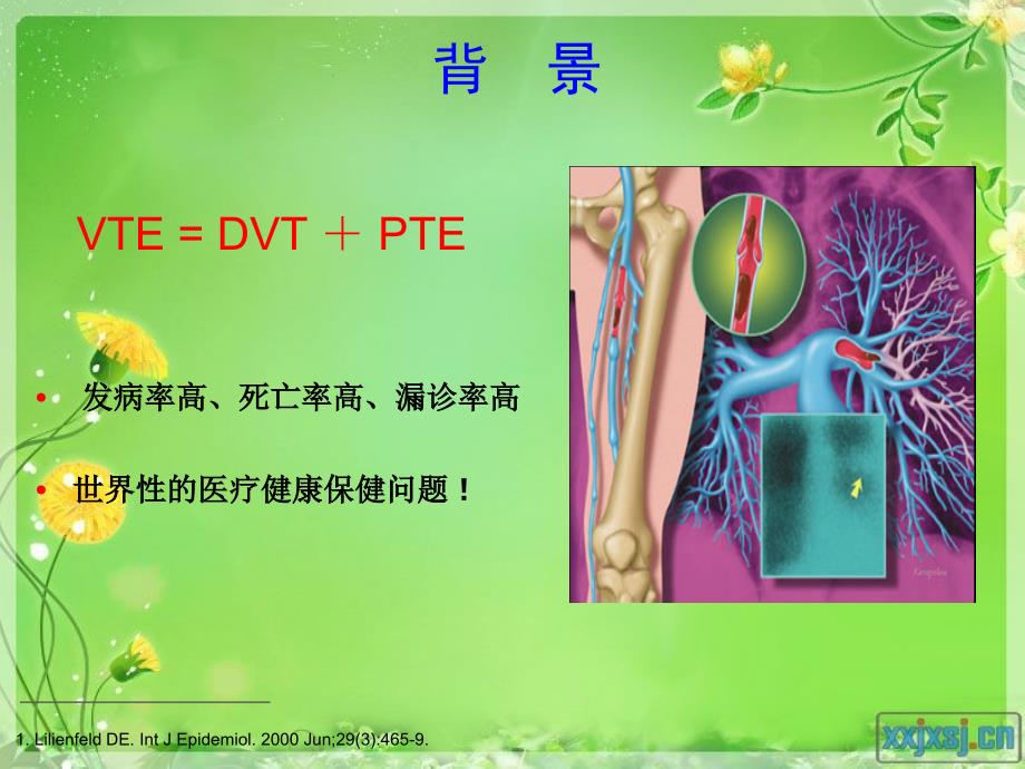 静脉血栓栓塞症风险评估量表的研究进展与临床评价.ppt_第2页