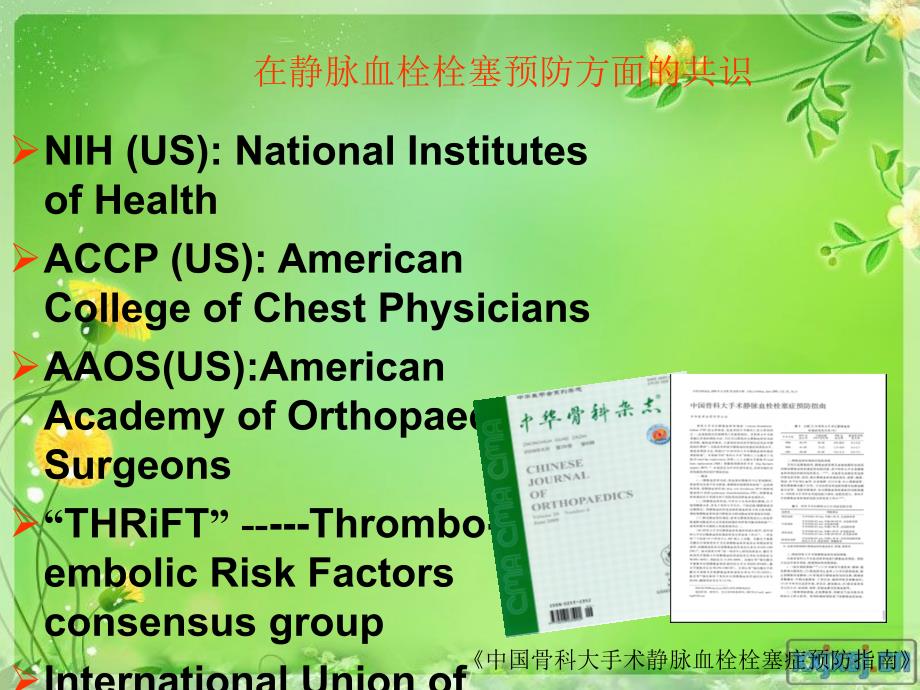 静脉血栓栓塞症风险评估量表的研究进展与临床评价.ppt_第3页