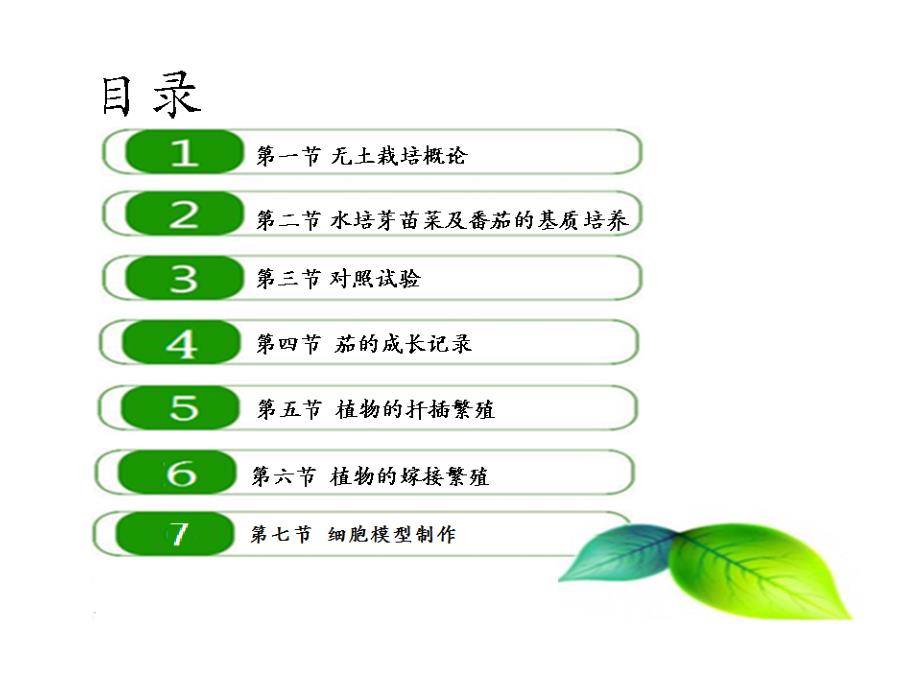 第一篇绿色生命第七节细胞模型制作.ppt_第2页