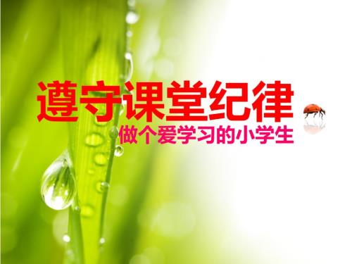遵守课堂纪律PPT课件.ppt