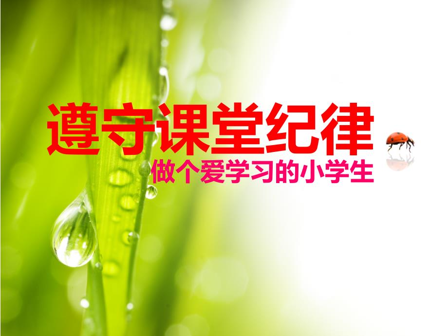 遵守课堂纪律PPT课件.ppt_第1页