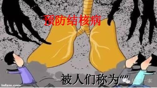 预防结核病PPT课件.ppt