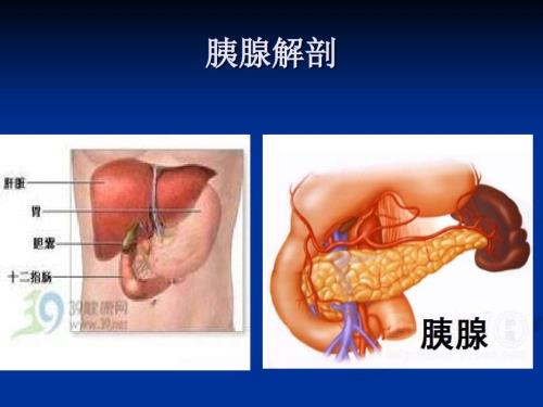 高脂血症性胰腺炎PPT课件.ppt