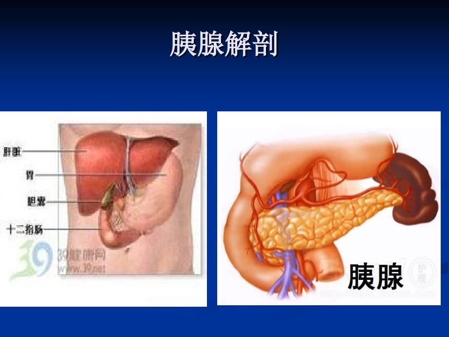 高脂血症性胰腺炎PPT课件.ppt_第1页