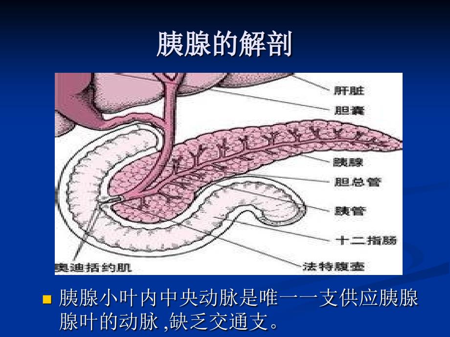 高脂血症性胰腺炎PPT课件.ppt_第2页