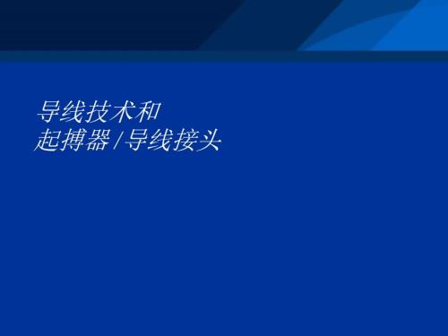 起搏器电极导线介绍.ppt
