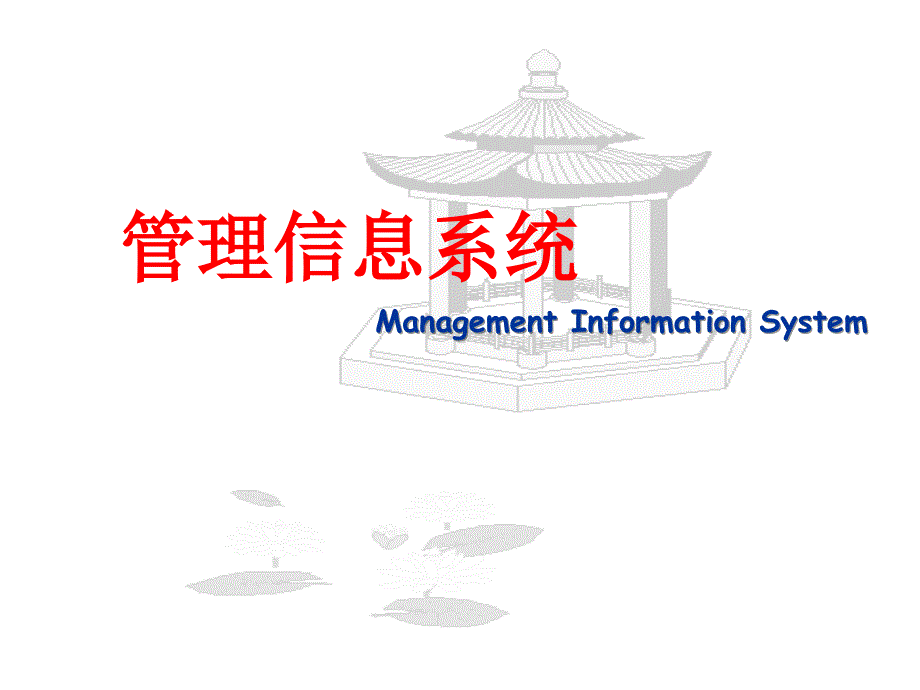 管理信息系统的技术基础.ppt_第1页