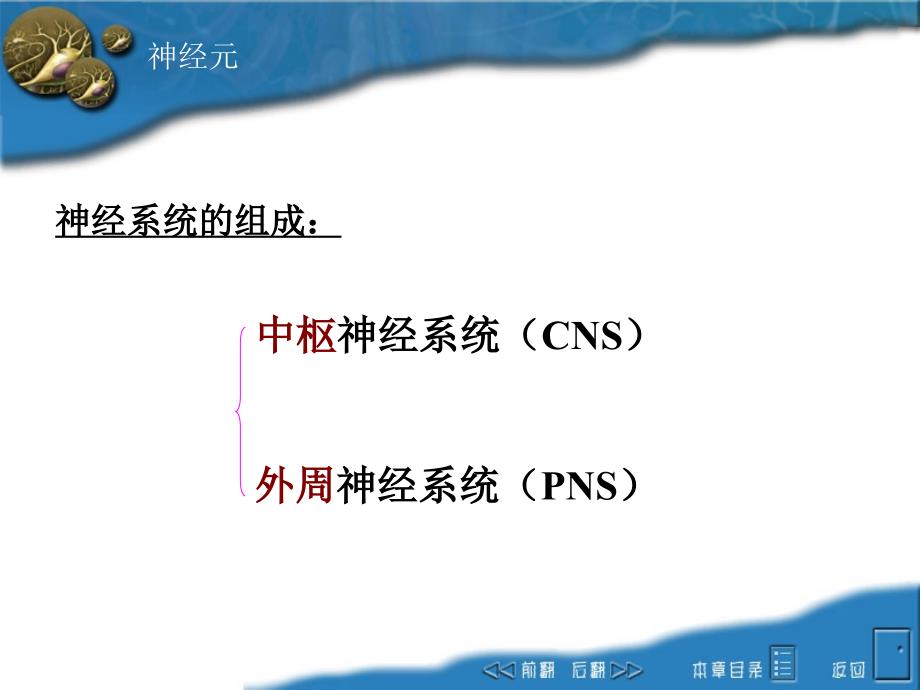神经系统医学PPT.ppt_第3页