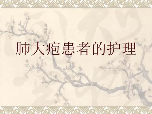 肺大疱的护理PPT课件.ppt
