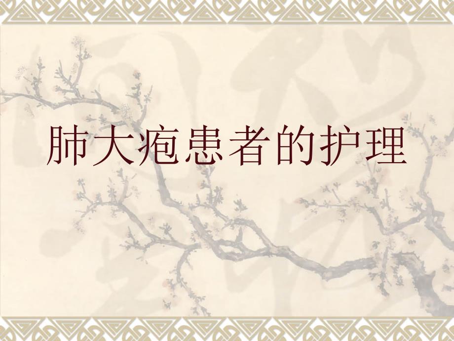 肺大疱的护理PPT课件.ppt_第1页