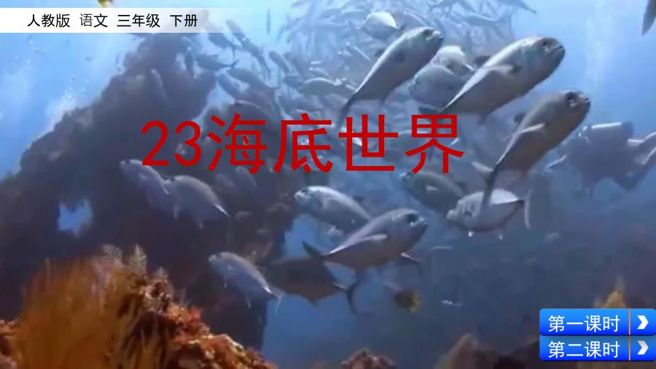 部编版三年级下语文23海底世界.ppt_第2页