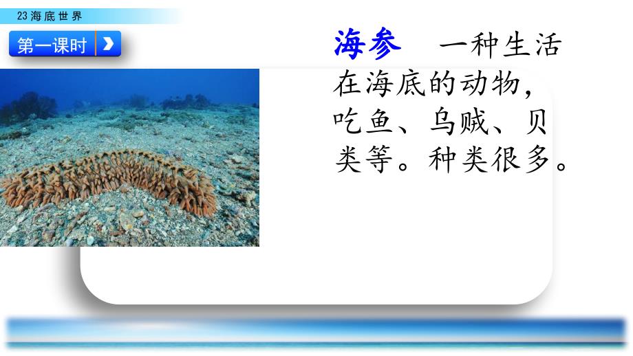 部编版三年级下语文23海底世界.ppt_第3页