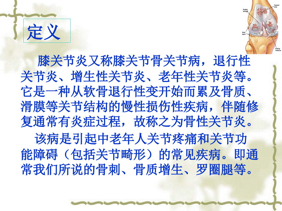 膝关节骨性关节炎精.ppt_第2页