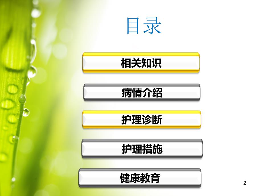 锁骨骨折的护理查房ppt课件.ppt_第2页