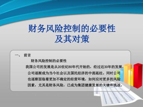 财务风险控制PPT课件.ppt