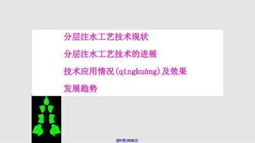 胜利油田注水工艺技术现状与发展实用教案.pptx