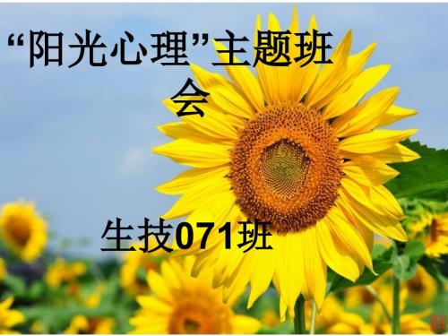 阳光心理主题班会.ppt