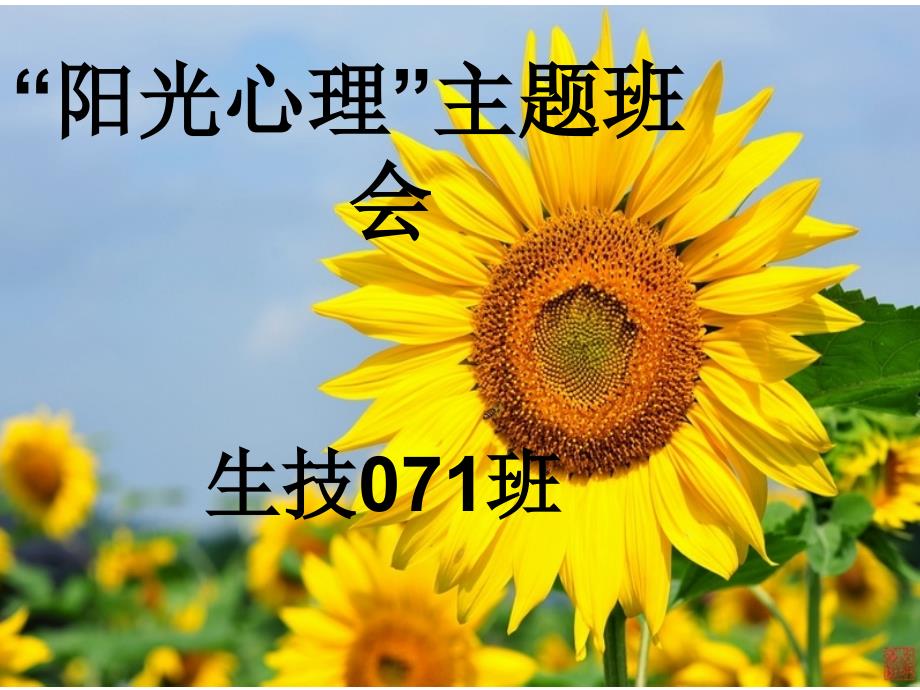 阳光心理主题班会.ppt_第1页