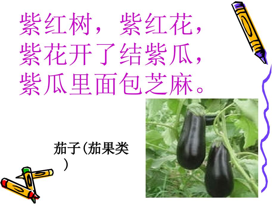 走进蔬菜王国PPT课件.ppt_第3页