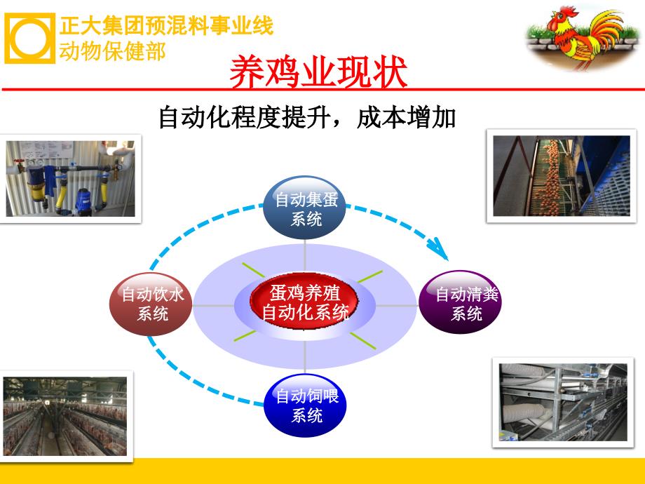 鸡场生物安全建设.ppt_第3页