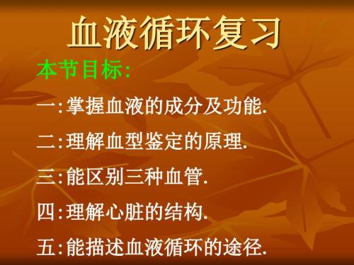 血液循环复习PPT课件.ppt