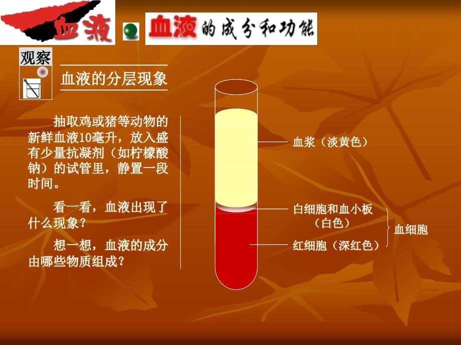 血液循环复习PPT课件.ppt_第2页