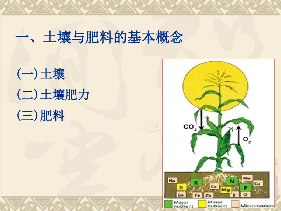 肥料专题培训PPT课件.ppt_第2页